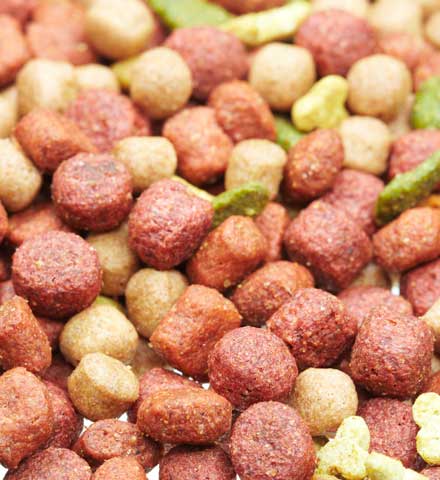 animal-feed-industry