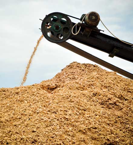 timber-recycling-industry